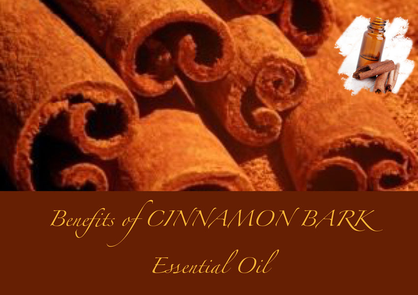 Benefits of Cinnamon Bark Essential Oil
