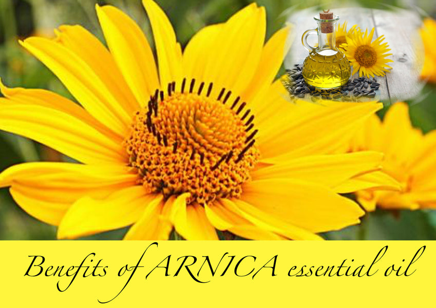 Benefits of ARNICA Essential Oil