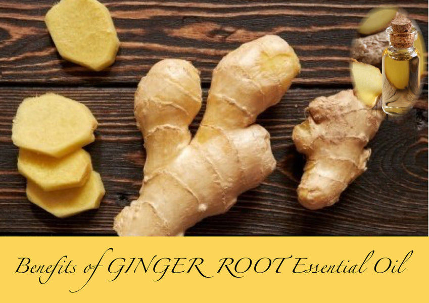 Benefits of Ginger Root Essential Oil