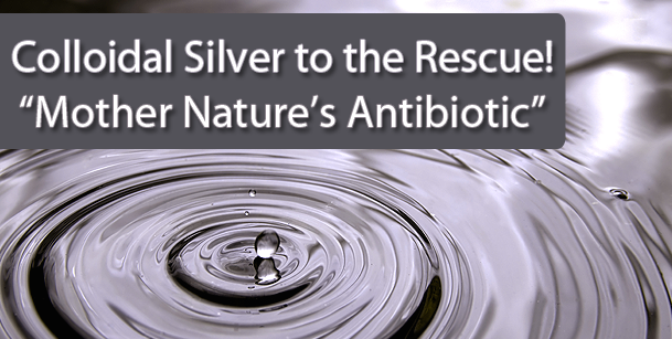 Colloidal Silver - Where can I purchase ?