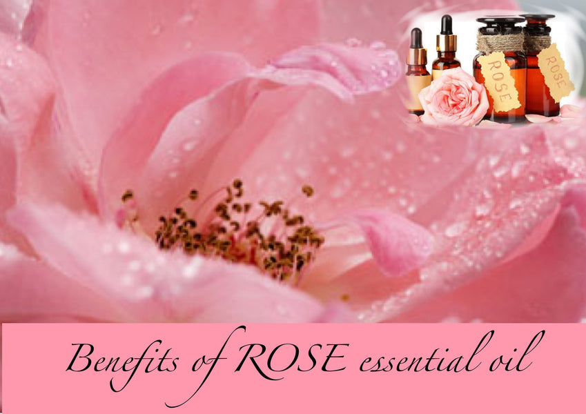The Benefits of ROSE Essential Oil